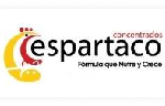 6-espartaco